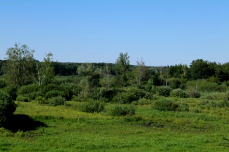 Herrensee, Lange-Damm-Wiesen und Barnim-Hänge 2020-08-05 210