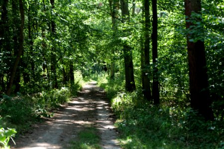 Herrensee, Lange-Damm-Wiesen und Barnim-Hänge 2020-08-05 60