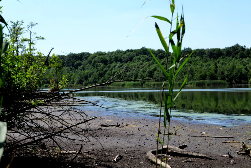 Herrensee Strausberg 2020-08-05 34