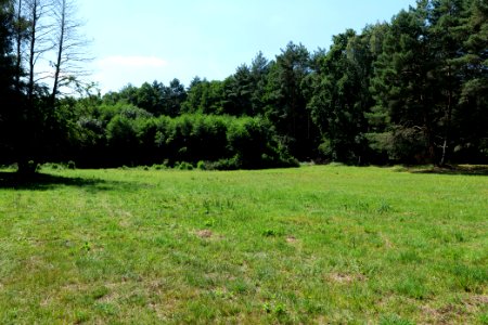 Herrensee, Lange-Damm-Wiesen und Barnim-Hänge 2020-08-05 65