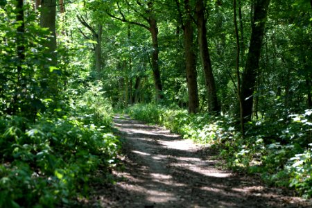 Herrensee, Lange-Damm-Wiesen und Barnim-Hänge 2020-08-05 95