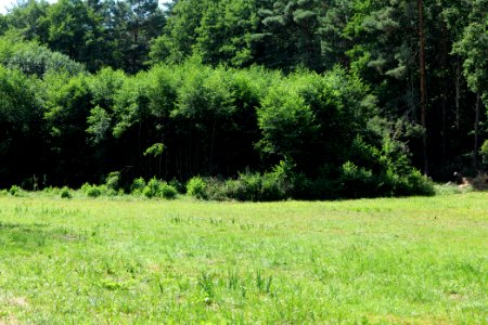 Herrensee, Lange-Damm-Wiesen und Barnim-Hänge 2020-08-05 62