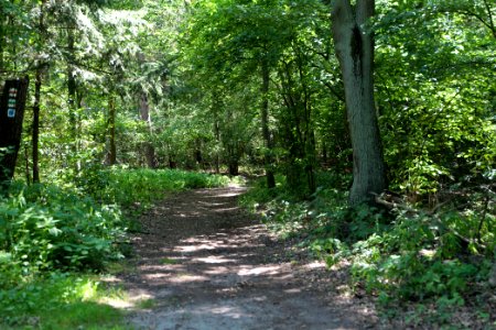 Herrensee, Lange-Damm-Wiesen und Barnim-Hänge 2020-08-05 59