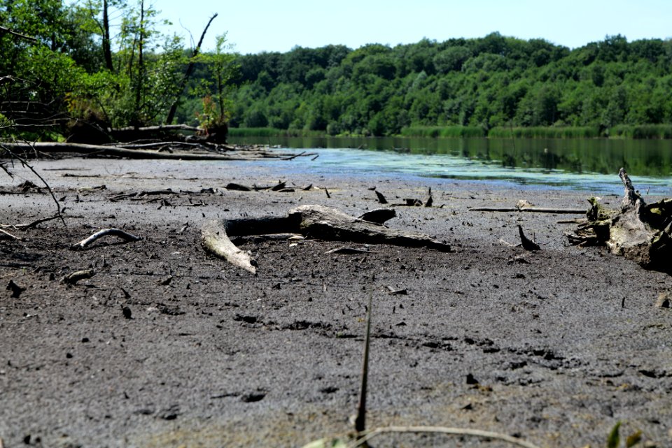 Herrensee Strausberg 2020-08-05 18