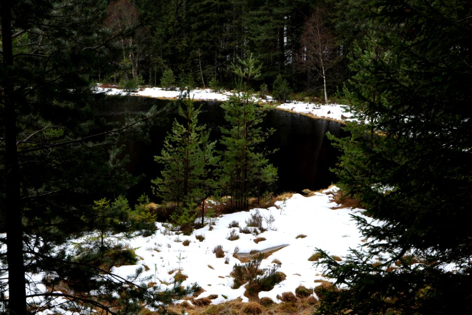Herrenwieser See 2020-03-10 15