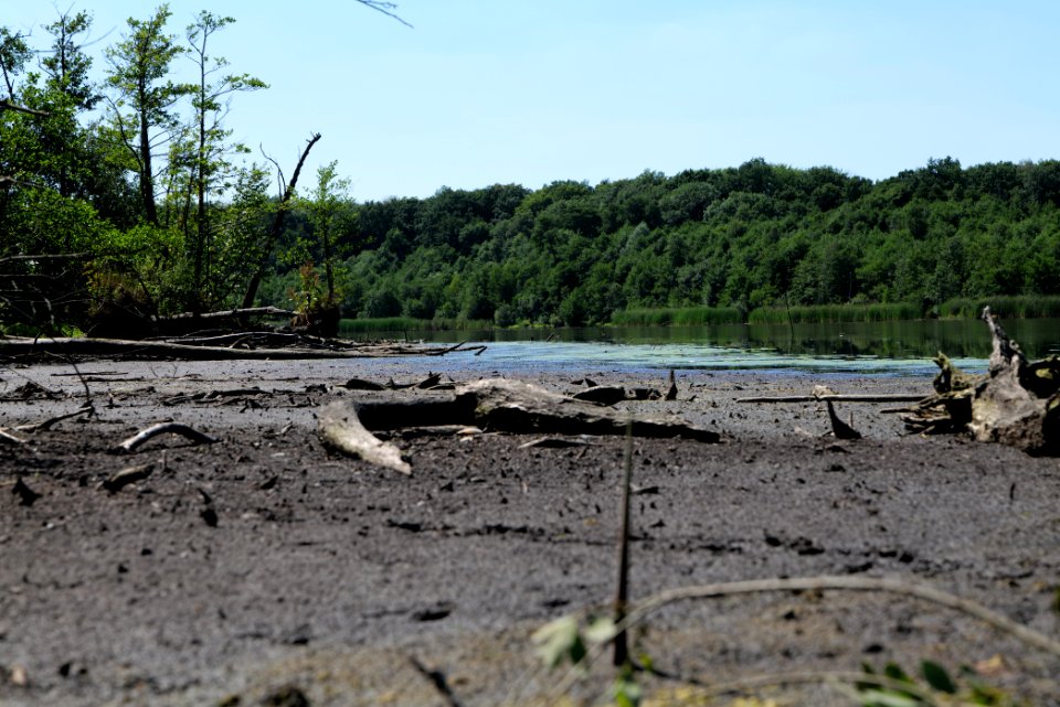 Herrensee Strausberg 2020-08-05 22