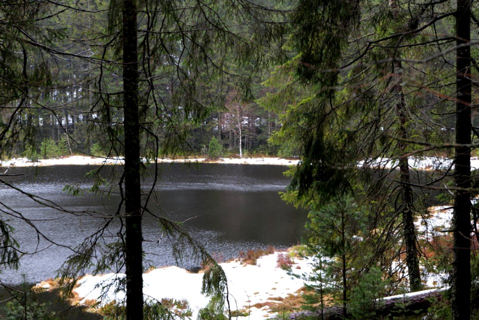 Herrenwieser See 2020-03-10 05