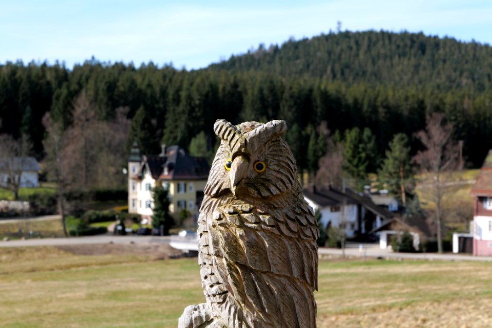 Herrenwies-Forbach 2020-03-15 15