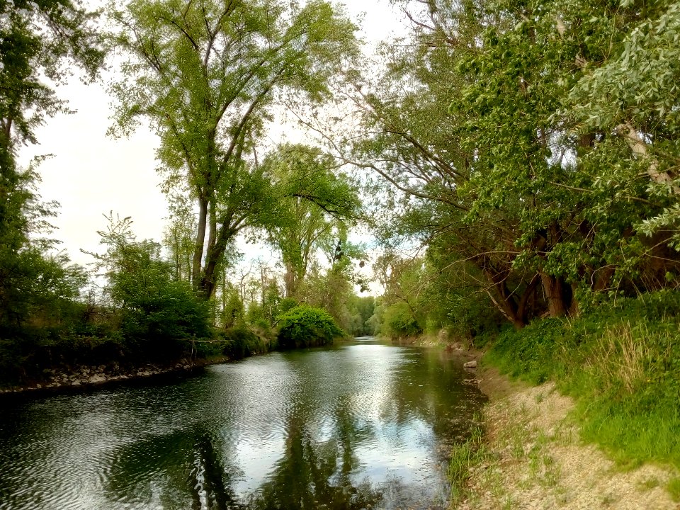Herrenwasser, Eggenstein
