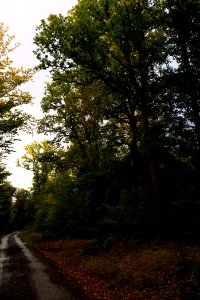 Herrenwald Stadtallendorf 2020-10-07 61