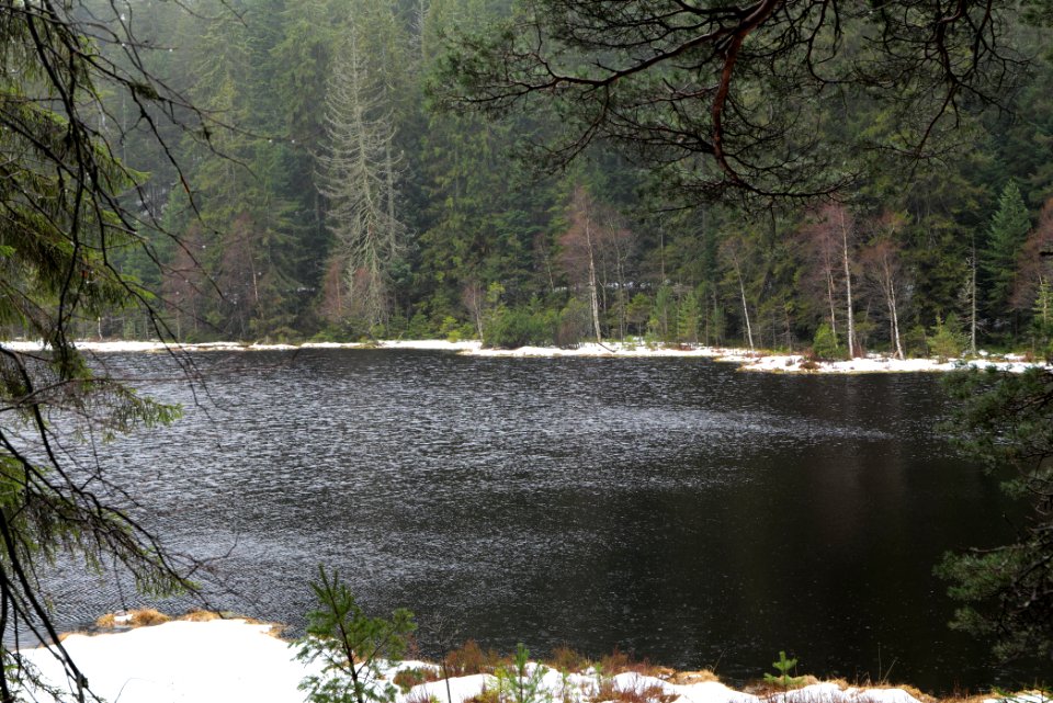 Herrenwieser See 2020-03-10 13