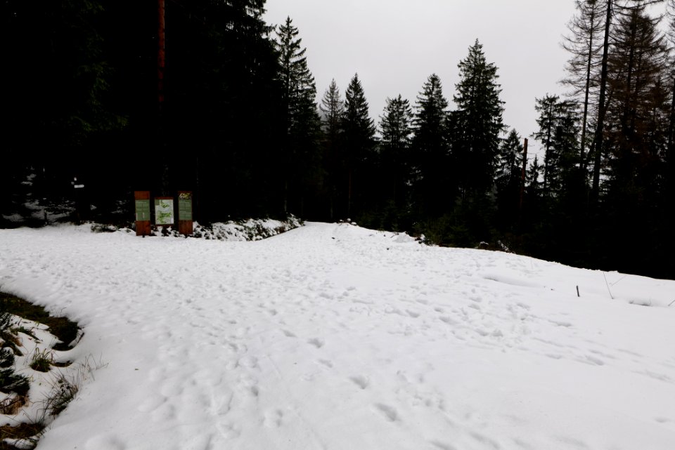 Herrenwieser Sattel with snow 2020-03-10 03