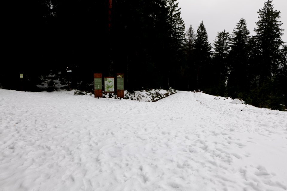 Herrenwieser Sattel with snow 2020-03-10 02