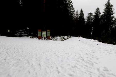 Herrenwieser Sattel with snow 2020-03-10 02