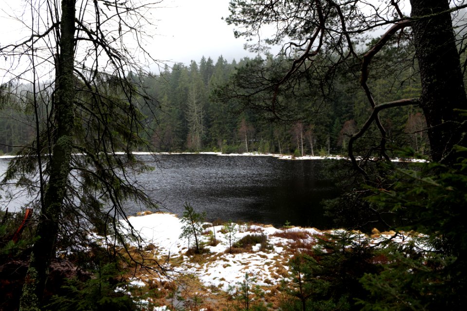 Herrenwieser See 2020-03-10 11