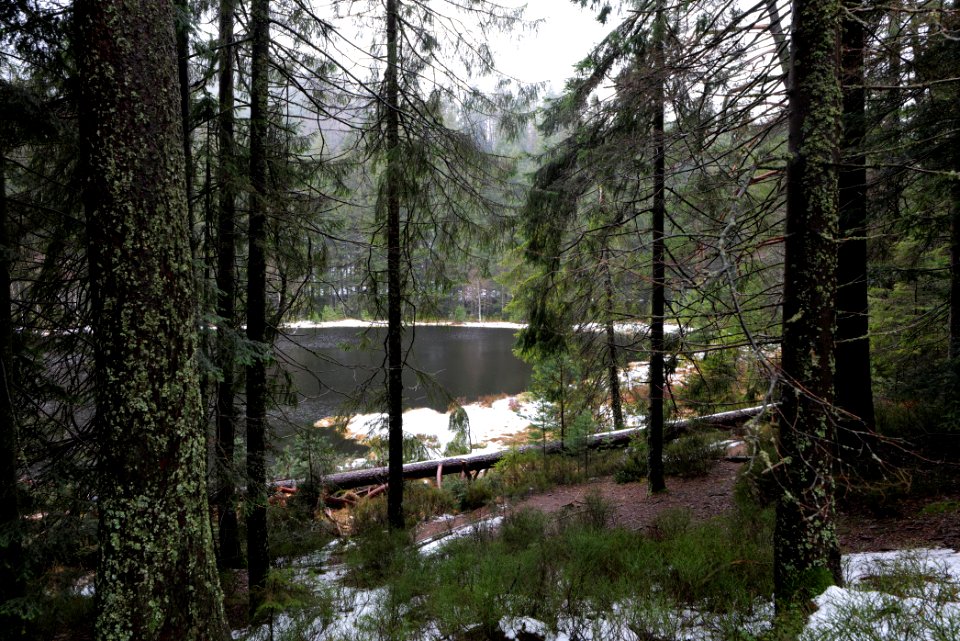 Herrenwieser See 2020-03-10 03