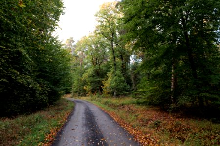 Herrenwald Stadtallendorf 2020-10-07 63