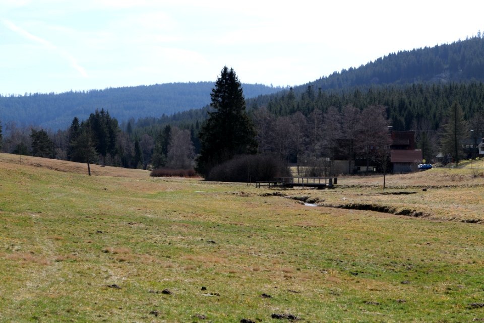 Herrenwies-Forbach 2020-03-15 07