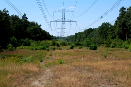 Herrensee, Lange-Damm-Wiesen und Barnim-Hänge 2020-08-05 22