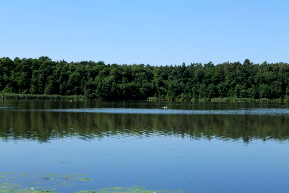 Herrensee Strausberg 2020-08-05 09