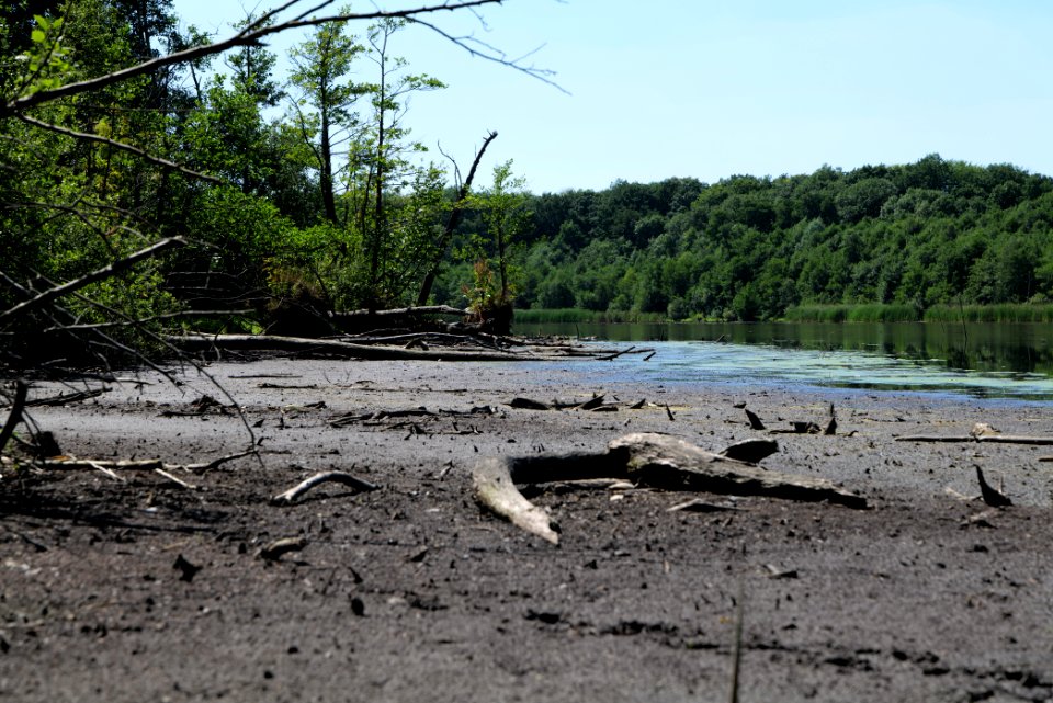 Herrensee Strausberg 2020-08-05 13