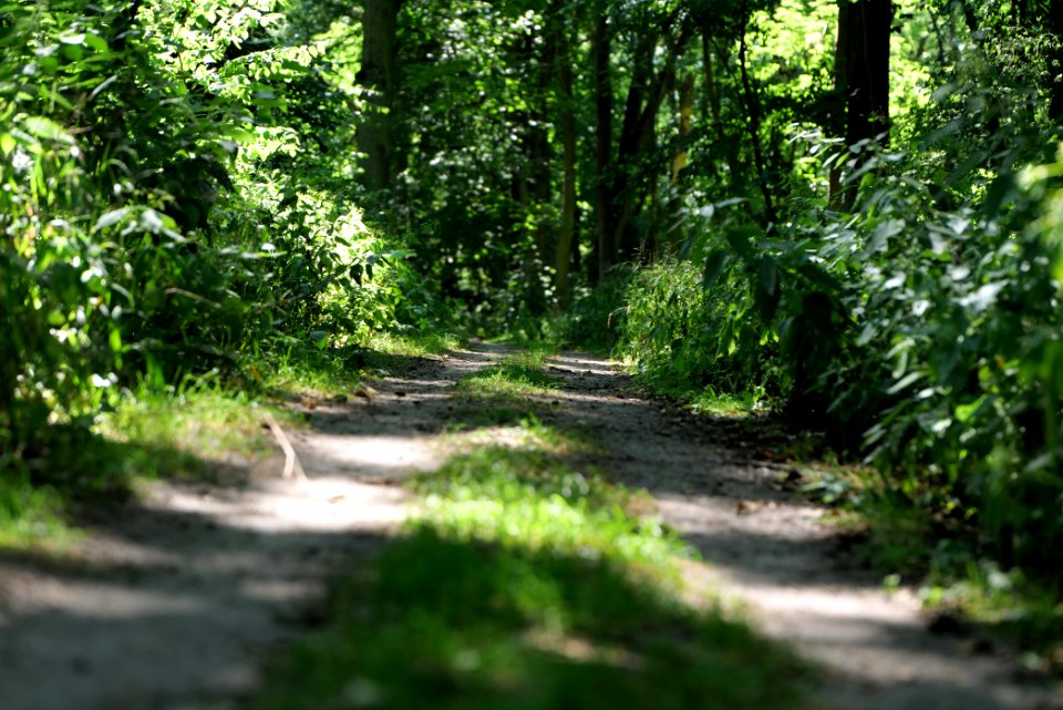 Herrensee, Lange-Damm-Wiesen und Barnim-Hänge 2020-08-05 97