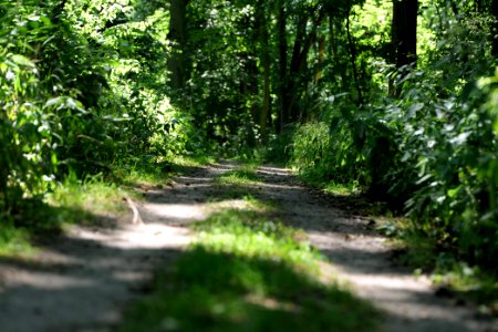 Herrensee, Lange-Damm-Wiesen und Barnim-Hänge 2020-08-05 97