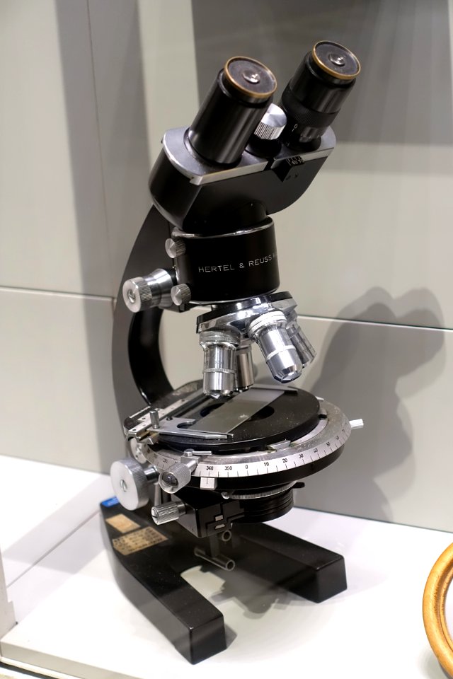 Hertel & Reuss microscope - Hessisches Landesmuseum Darmstadt - Darmstadt, Germany - DSC00049