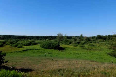 Herrensee, Lange-Damm-Wiesen und Barnim-Hänge 2020-08-05 202