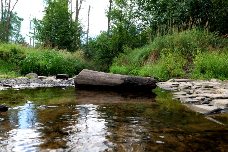 Herrenwald Stadtallendorf 2020-08-21 68