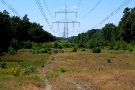 Herrensee, Lange-Damm-Wiesen und Barnim-Hänge 2020-08-05 21