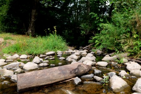 Herrenwald Stadtallendorf 2020-08-21 66