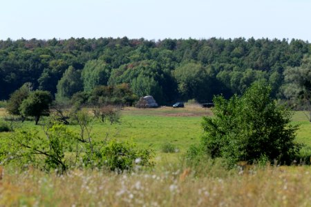 Herrensee, Lange-Damm-Wiesen und Barnim-Hänge 2020-08-05 228