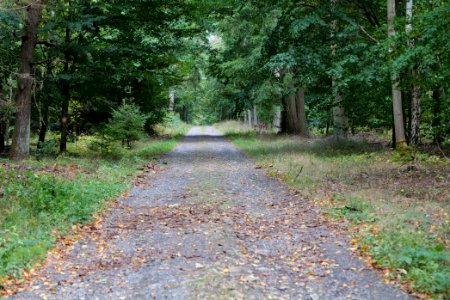 Herrenwald Stadtallendorf 2020-10-04 07