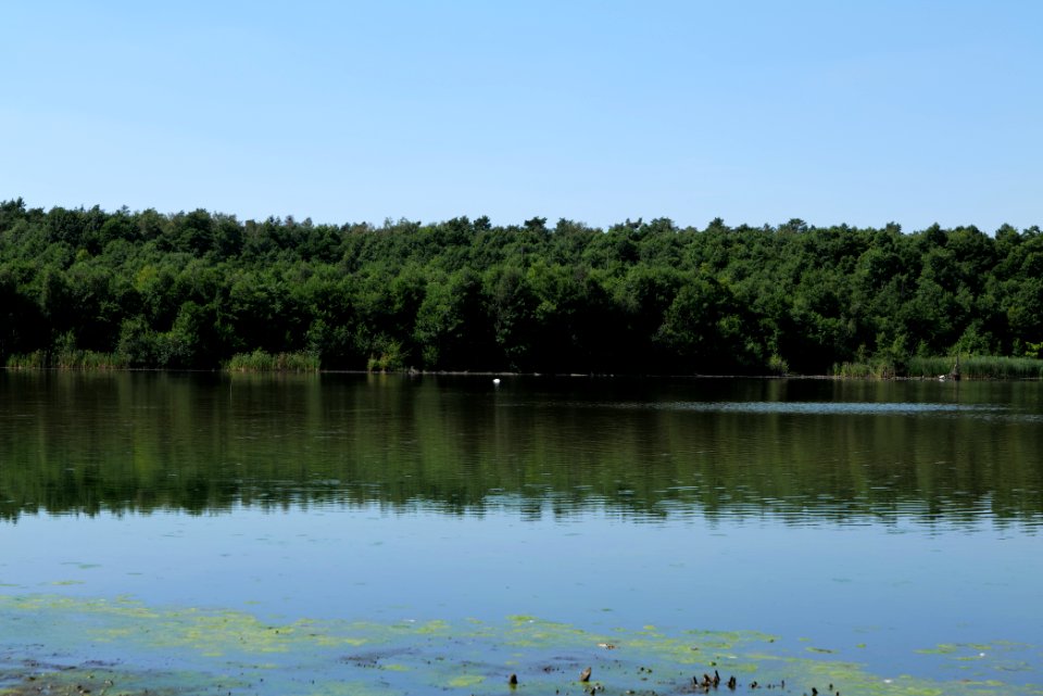 Herrensee Strausberg 2020-08-05 05