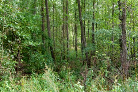 Herrenwald Stadtallendorf 2020-10-07 08