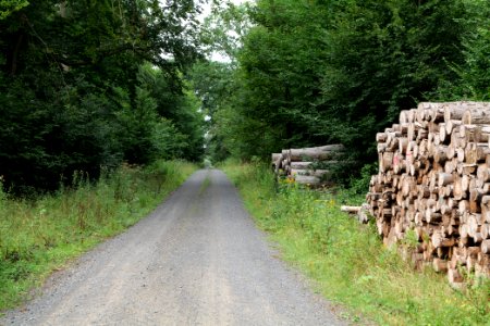 Herrenwald Stadtallendorf 2020-08-21 77
