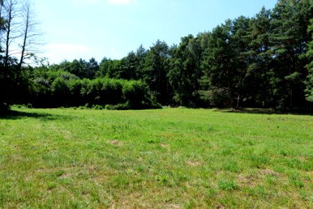 Herrensee, Lange-Damm-Wiesen und Barnim-Hänge 2020-08-05 67