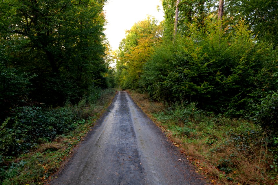Herrenwald Stadtallendorf 2020-10-07 50