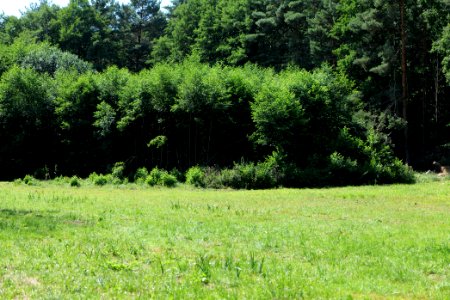 Herrensee, Lange-Damm-Wiesen und Barnim-Hänge 2020-08-05 61