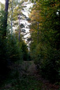 Herrenwald Stadtallendorf 2020-10-07 47
