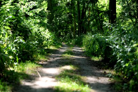 Herrensee, Lange-Damm-Wiesen und Barnim-Hänge 2020-08-05 96