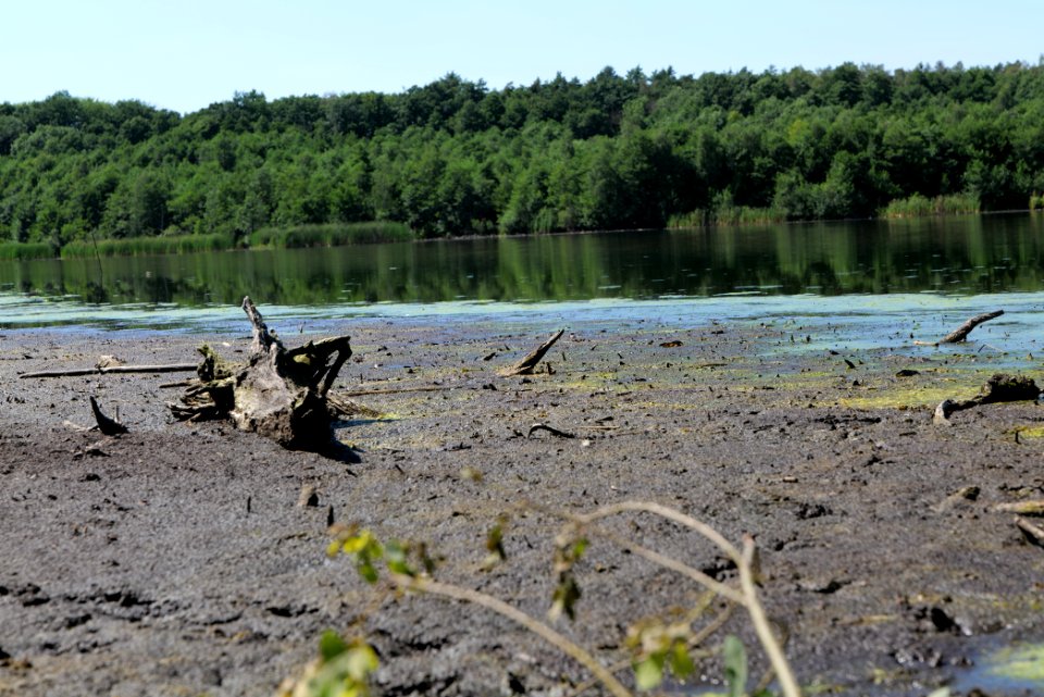 Herrensee Strausberg 2020-08-05 20