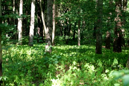 Herrensee, Lange-Damm-Wiesen und Barnim-Hänge 2020-08-05 54