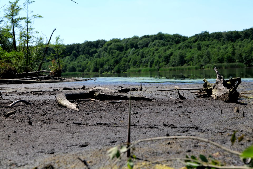 Herrensee Strausberg 2020-08-05 21
