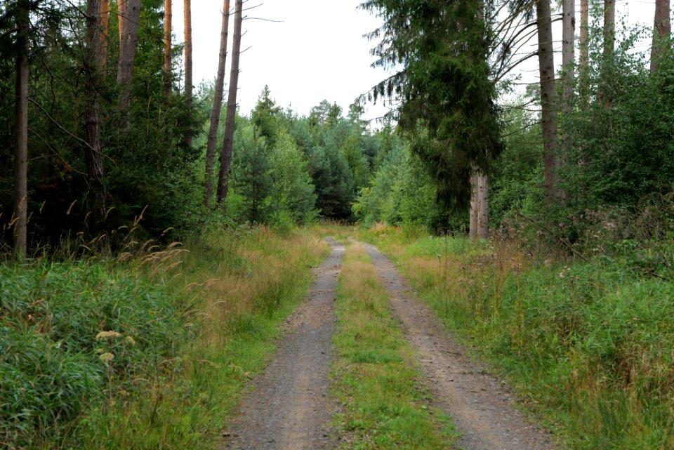 Herrenwald Stadtallendorf 2020-08-21 70