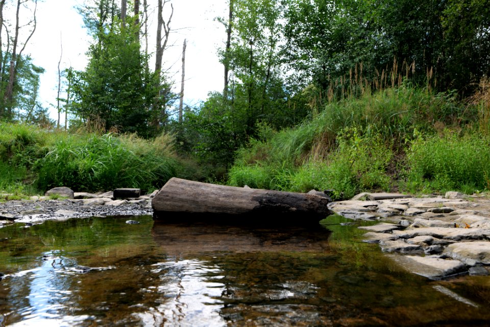 Herrenwald Stadtallendorf 2020-08-21 67