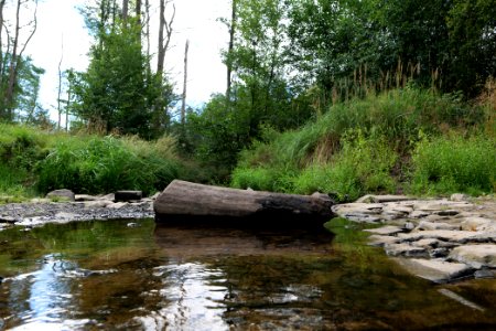 Herrenwald Stadtallendorf 2020-08-21 67