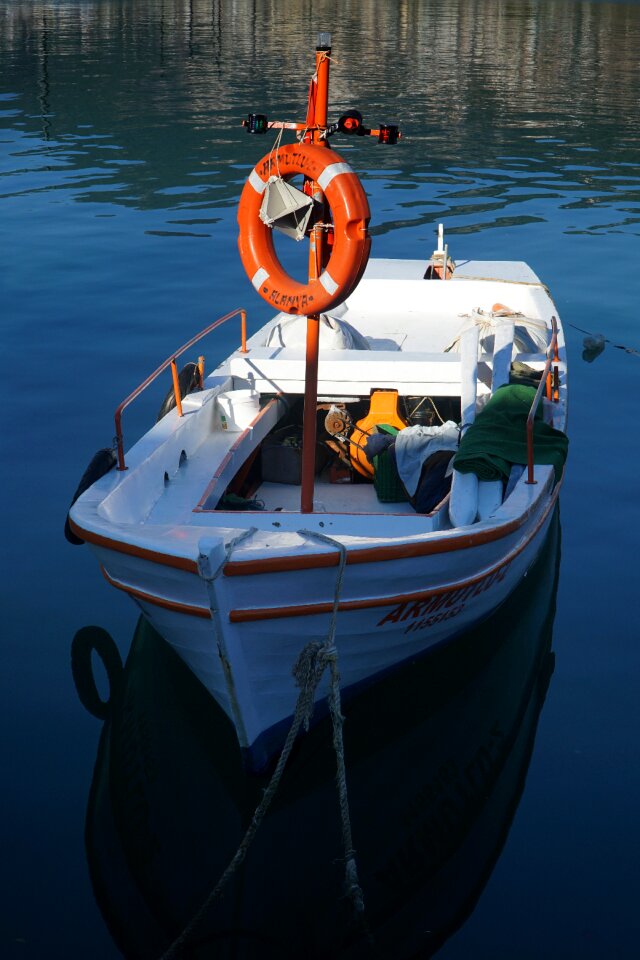 Reflection port turkey