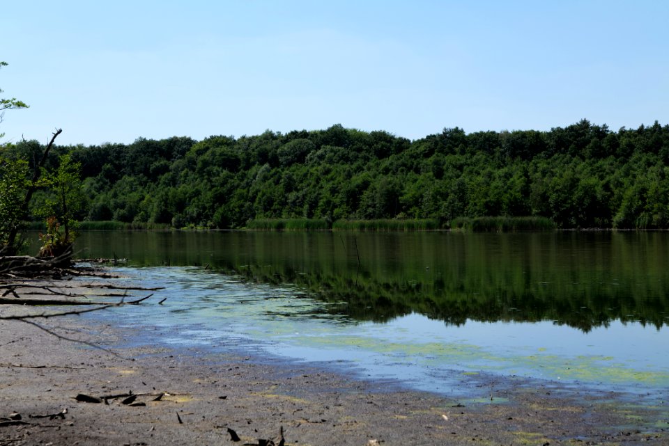 Herrensee Strausberg 2020-08-05 03